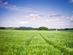 最 强 白 嫖 指 南：35个免费宝藏网站